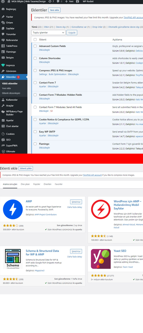 Google AMP Wordpress Kurulumu