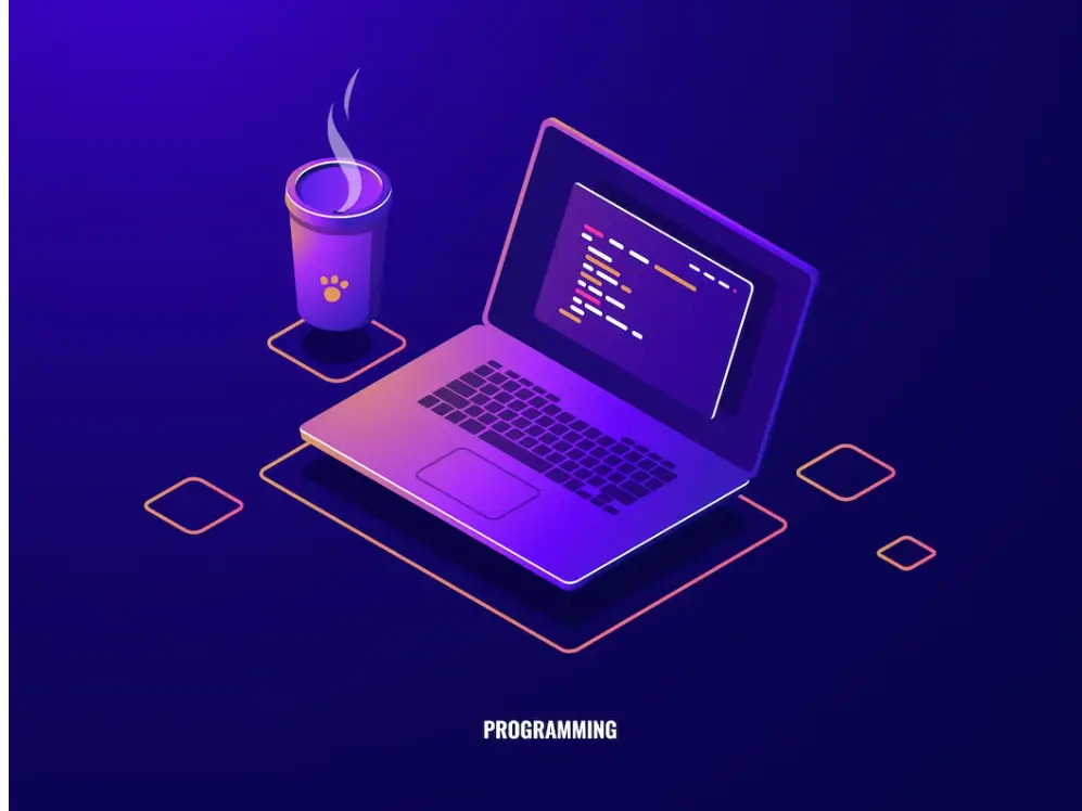 Web Programcılığı